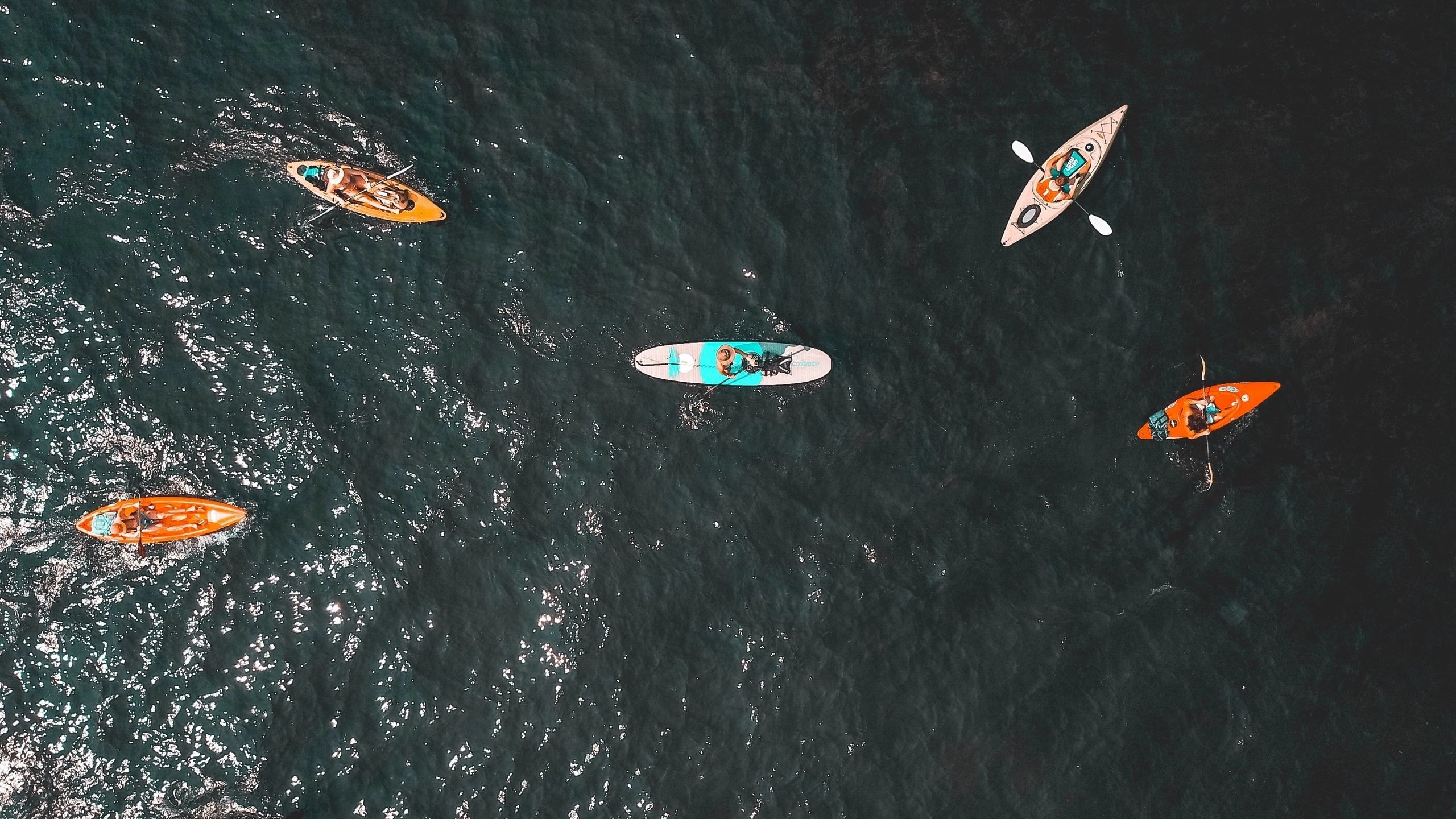 Aerial view of kayakers on ocean